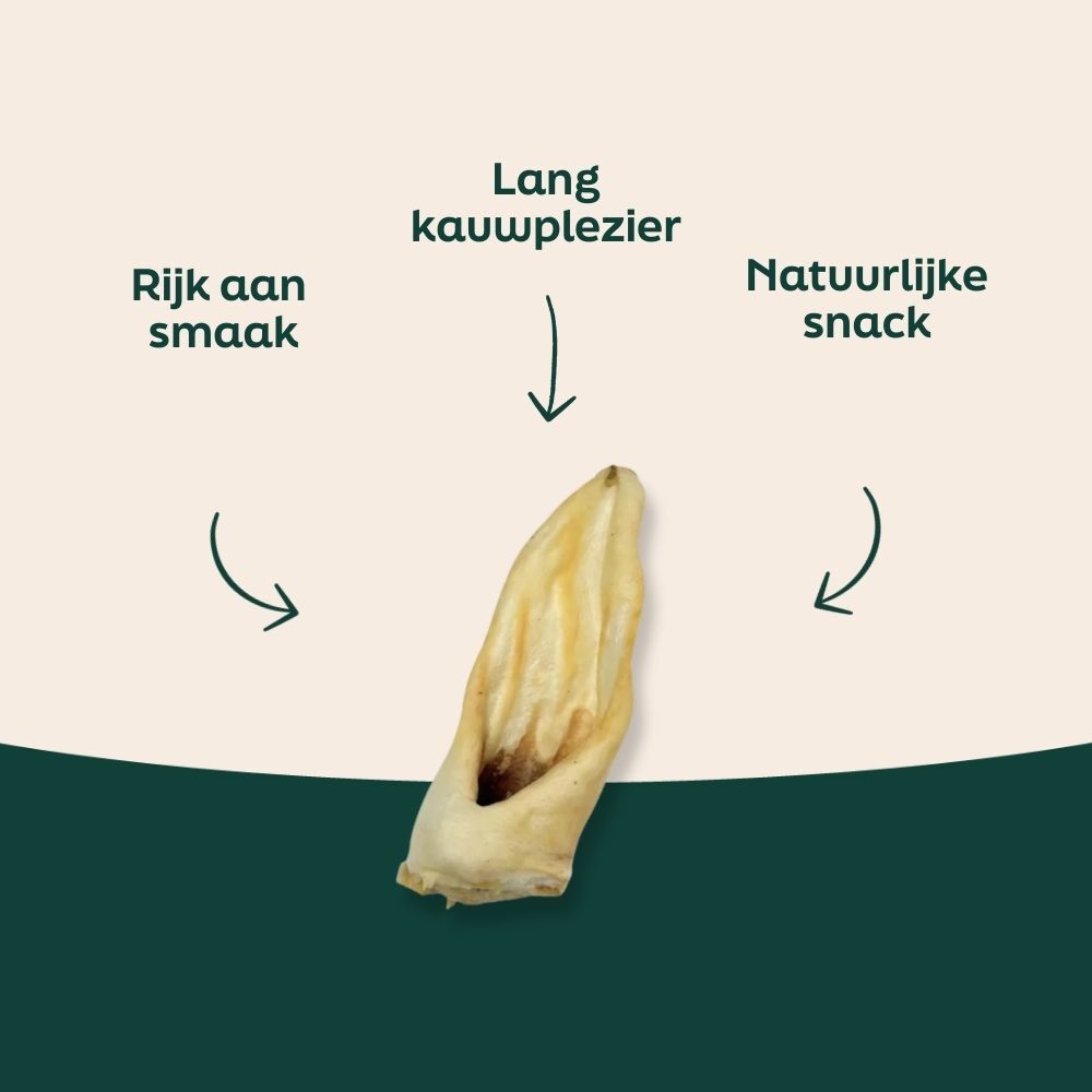 pistache, noot, snack, kern, schelp
