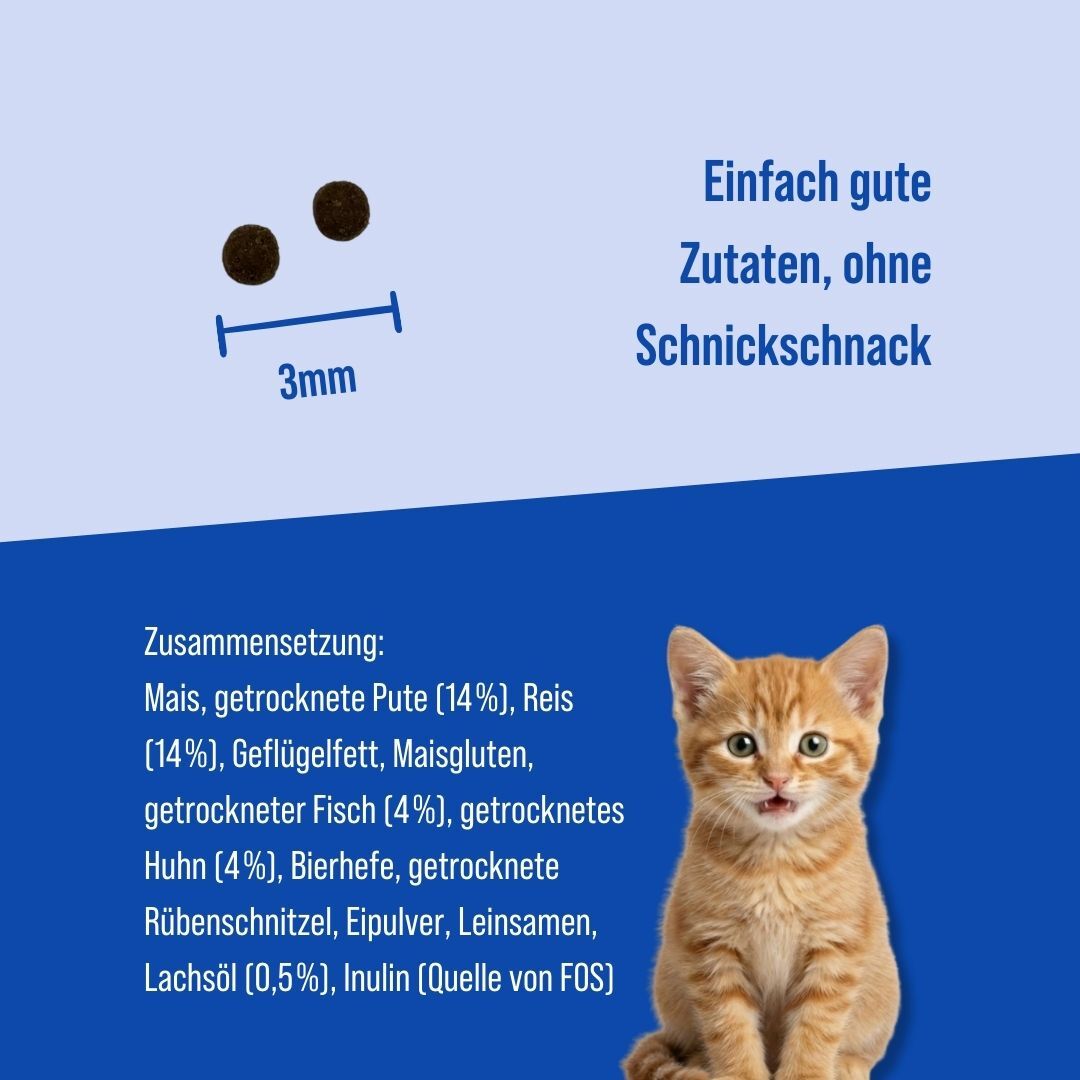 Kitten | 7kg