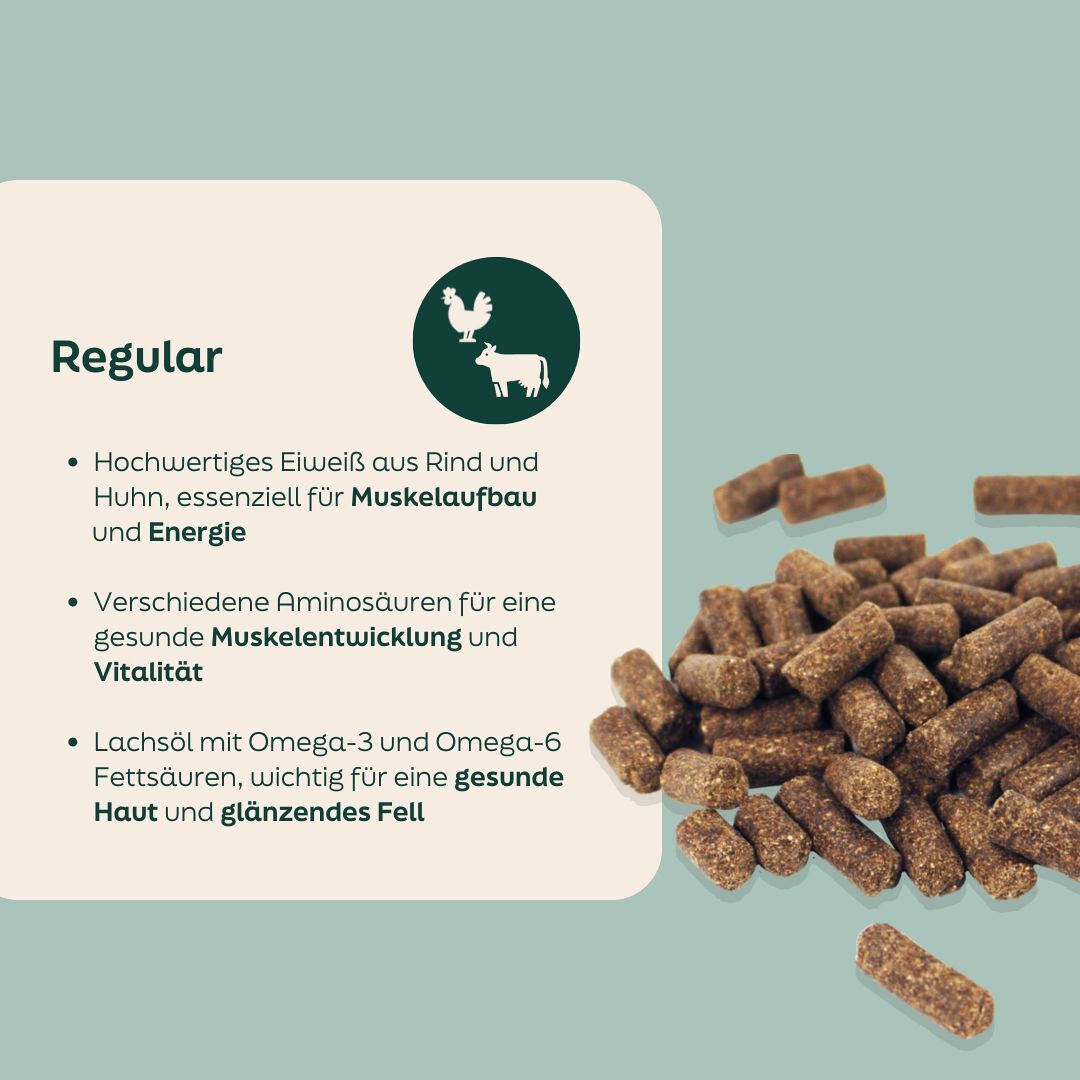 WOOOF Regular Hundefutter Zutaten in WOOOF regular