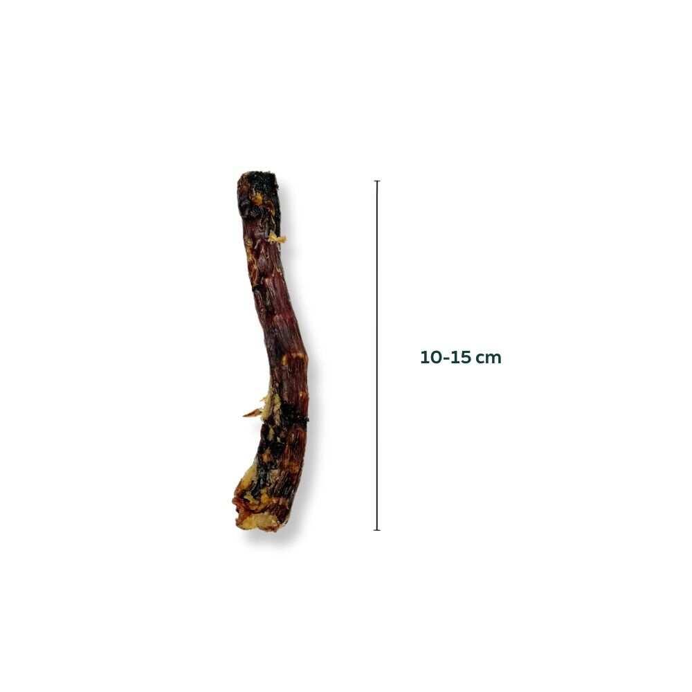 Entenhals 10–15 cm