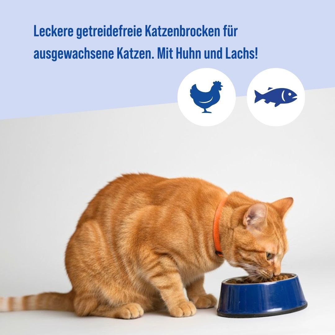 Getreidefrei | 5 kg
