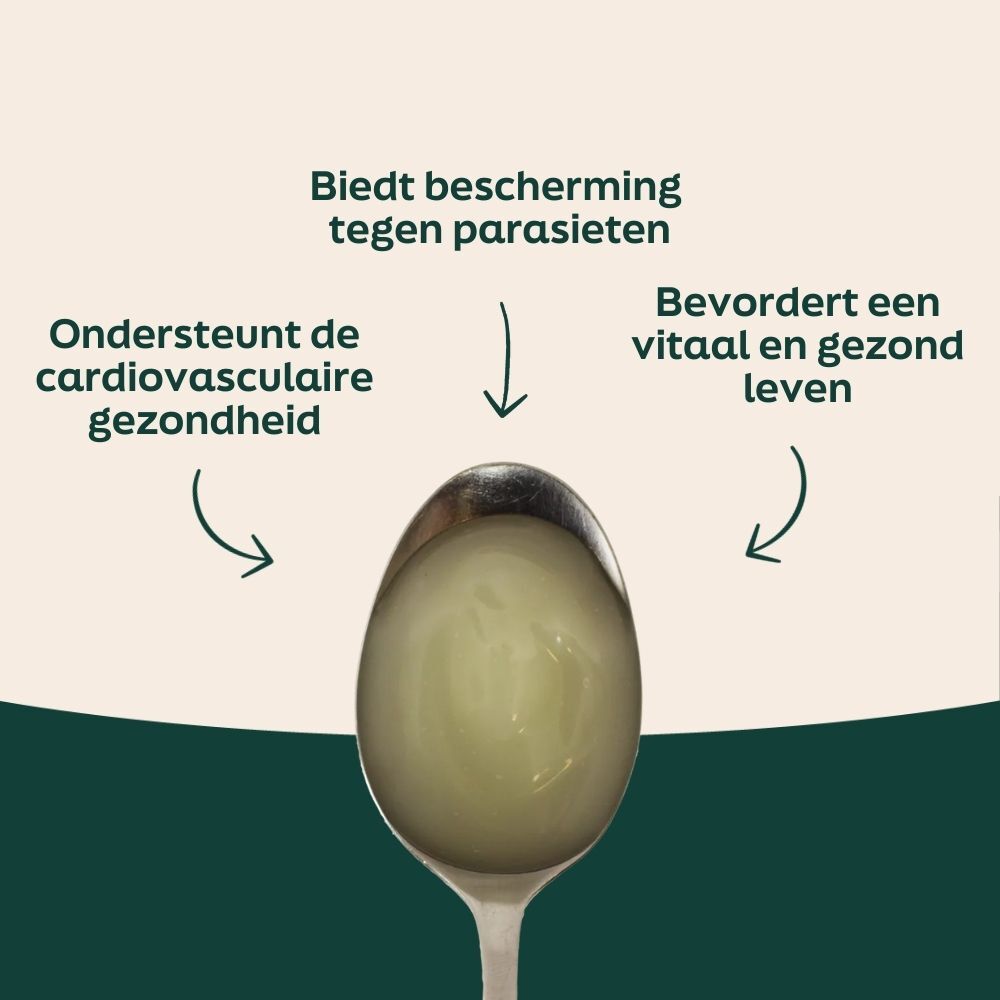lepel, groen, groente, voorwerp, illustratie