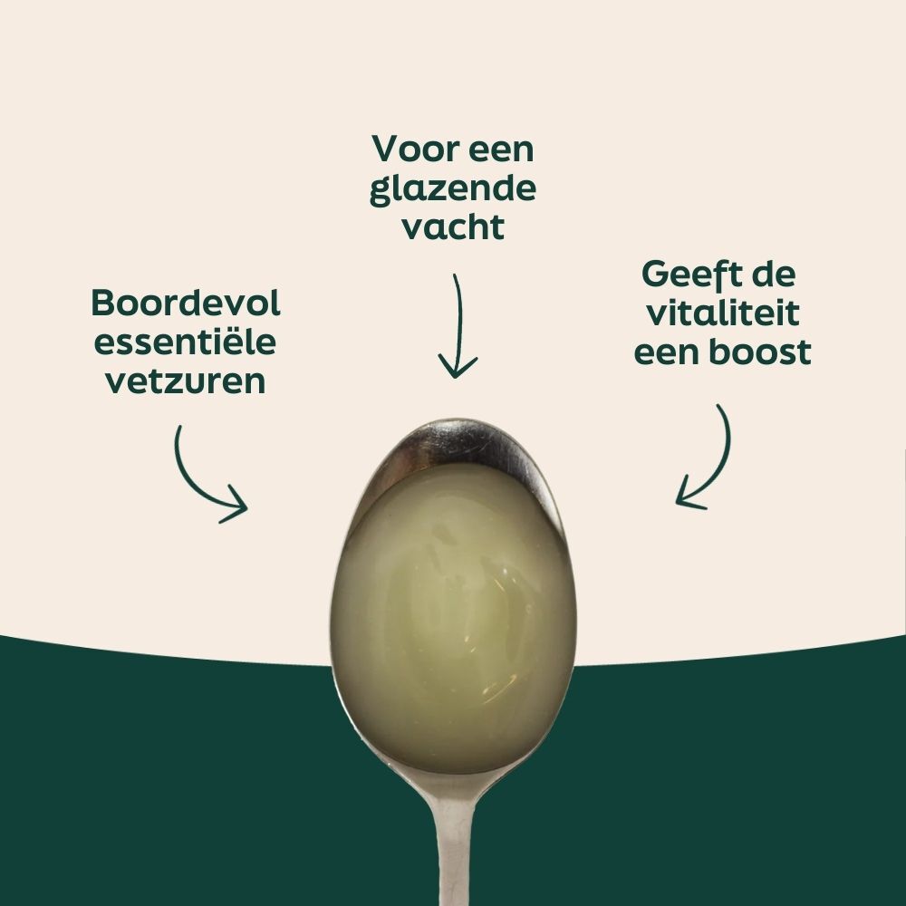 ei, lepel, ick, gelatine, organic