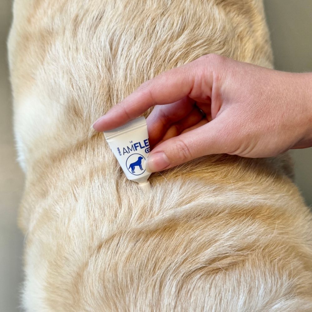 Teken pipet wordt toegevoegd op de vacht