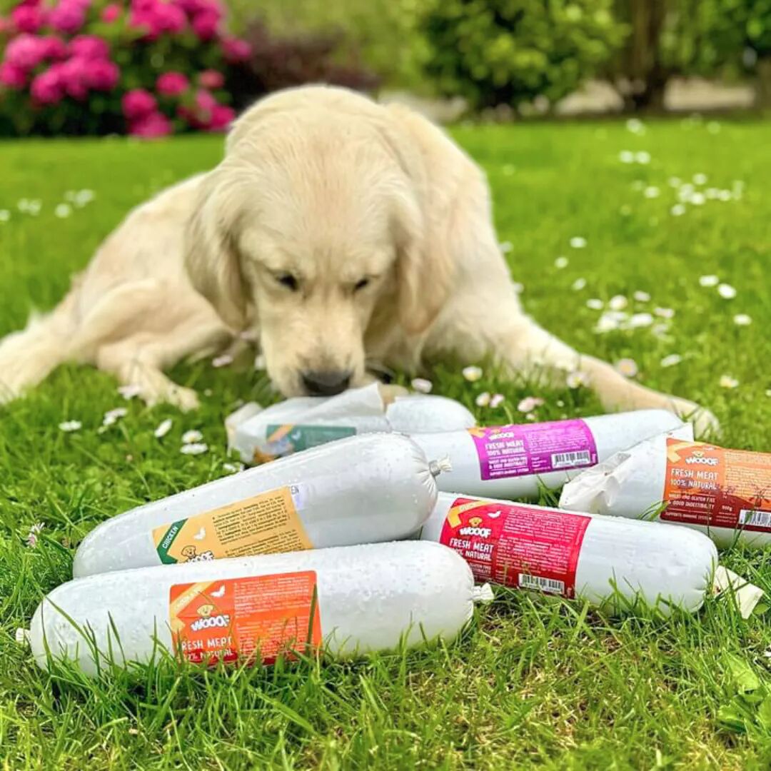 WOOOF Snackbox Hypoallergen Hund mit Würsten