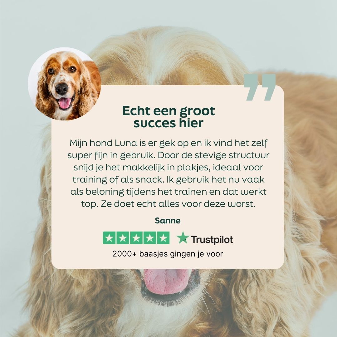 hond, golden retriever, zacht kauwgom, trainingstrakt, snack