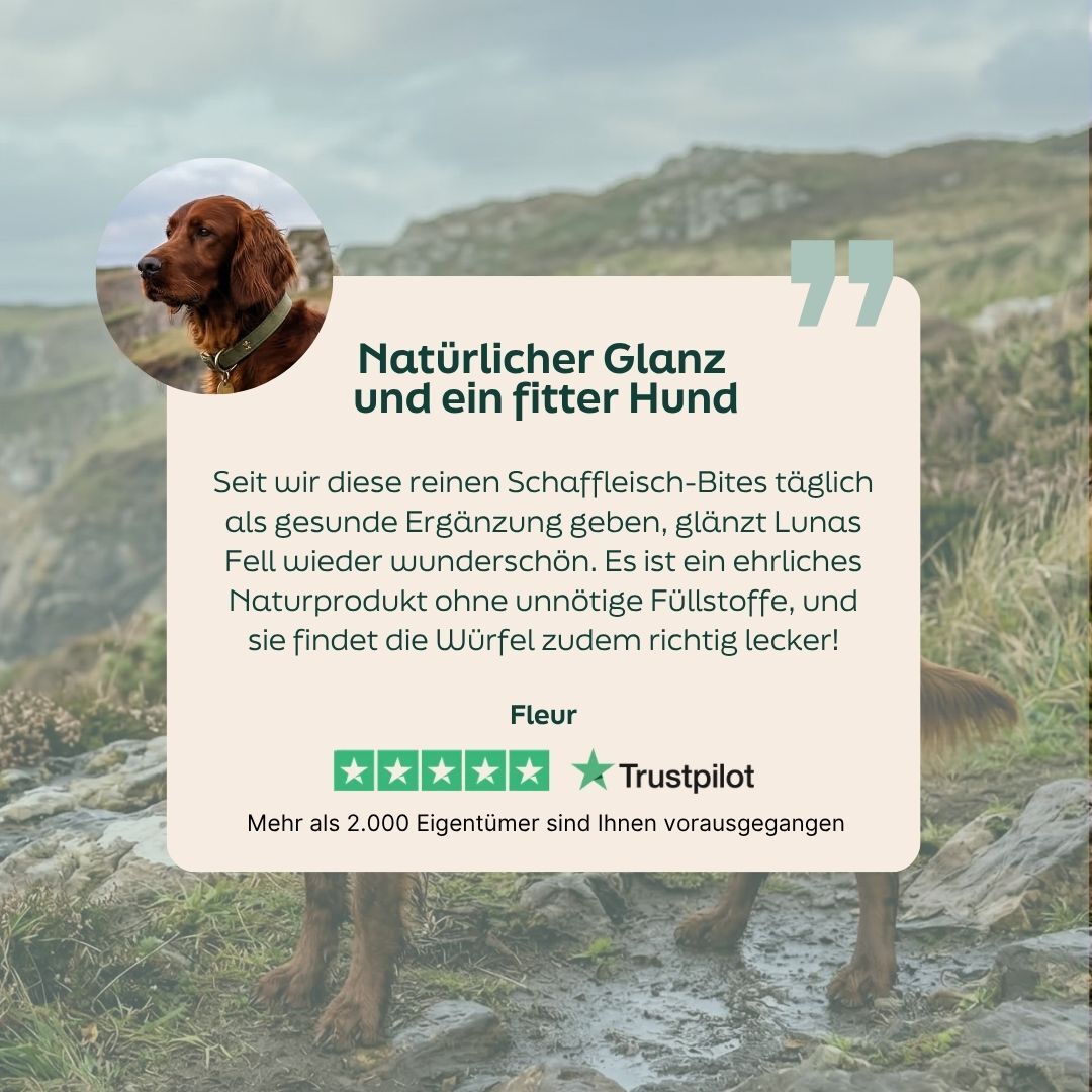 Bewertung der Schaffett-Bites pur