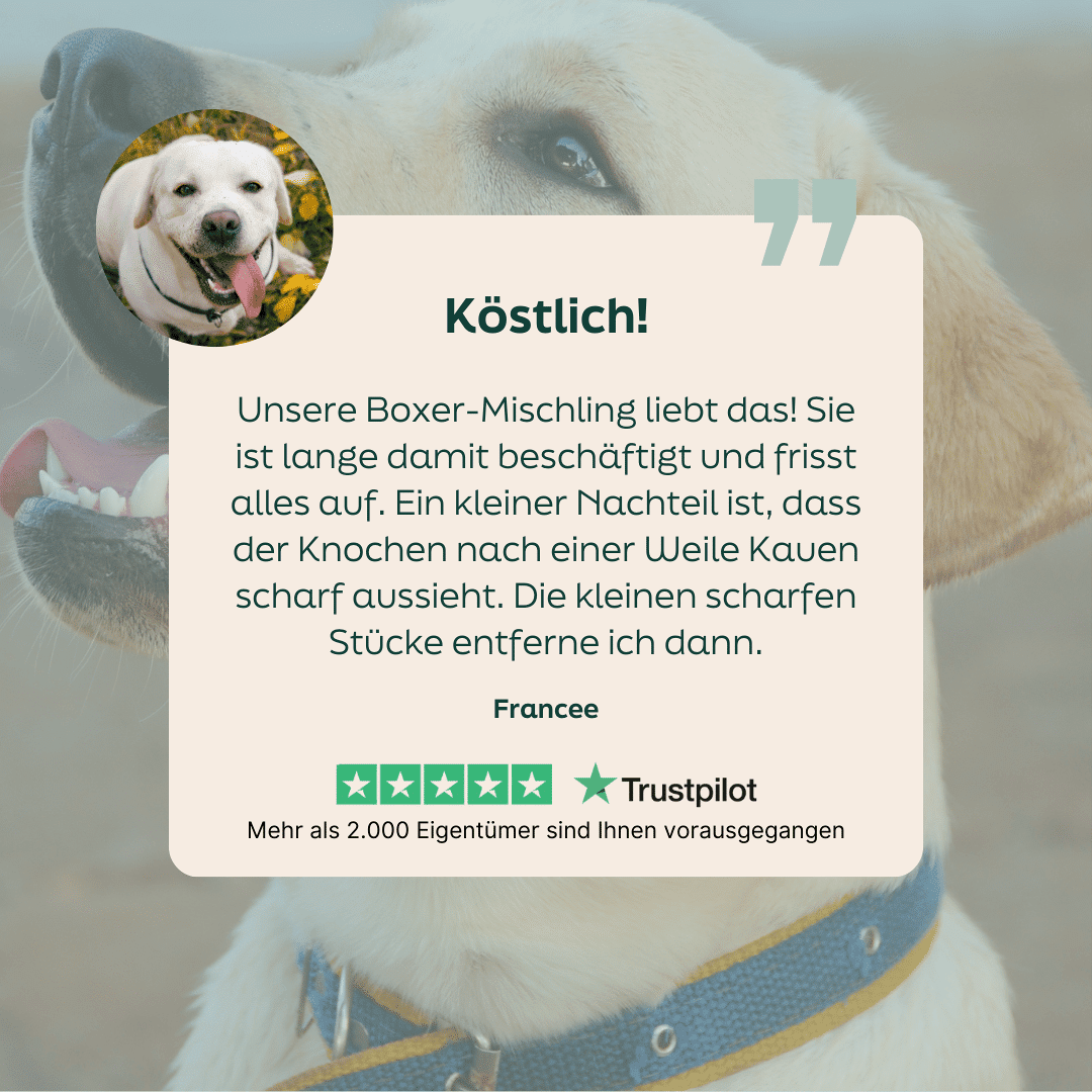 WOOOF Hirschkeule 5-Sterne-Bewertung zu WOOOF Hirschpfote