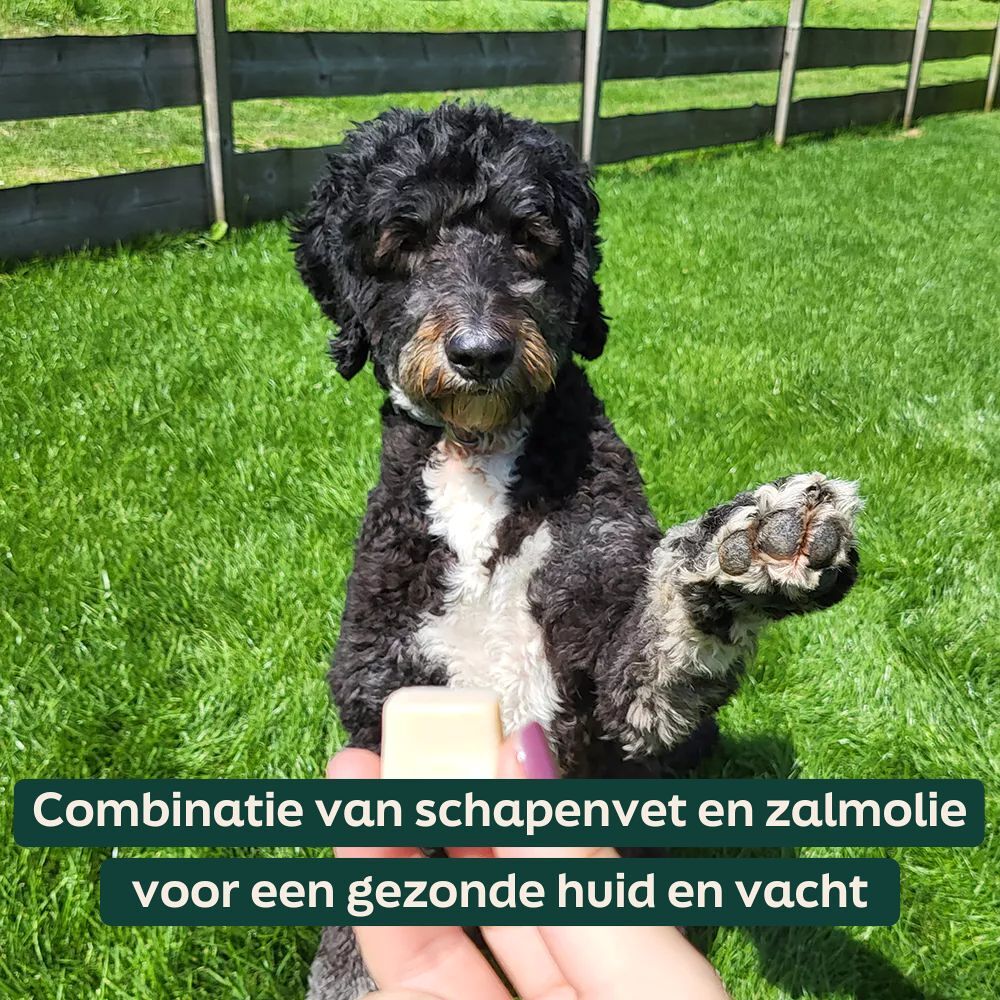 Schapenvet met zalmolie - bites WOOOF schapenvet zalmolie bites voor een gezonde huid en vacht