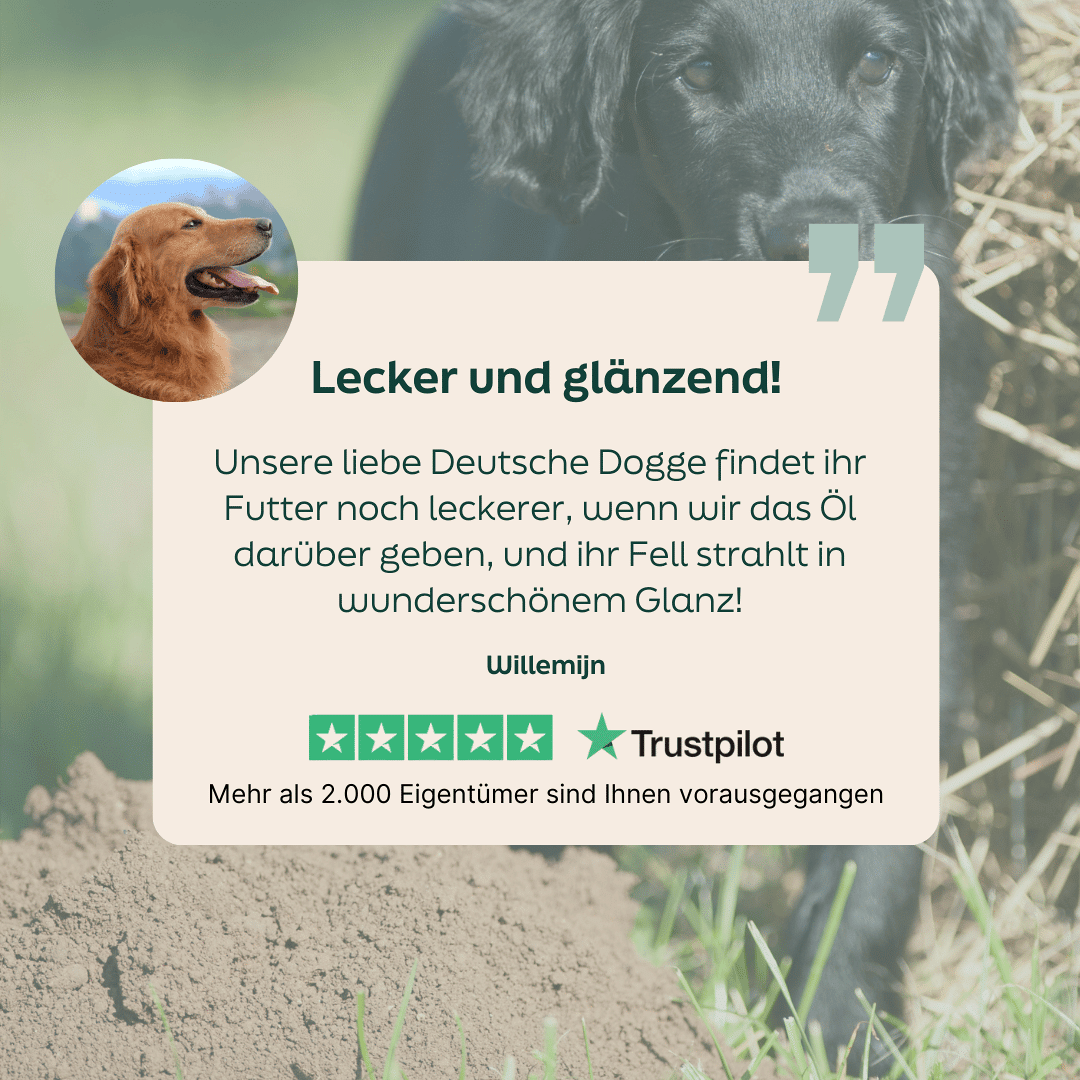 WOOOF Schafsfett  & Hanfsamenöl 5-Sterne-Bewertung zu WOOOF Schafsfett- und Hanfsamenöl