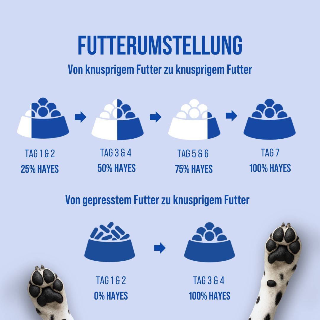 Umstiegsplan auf ein extrudiertes Futter