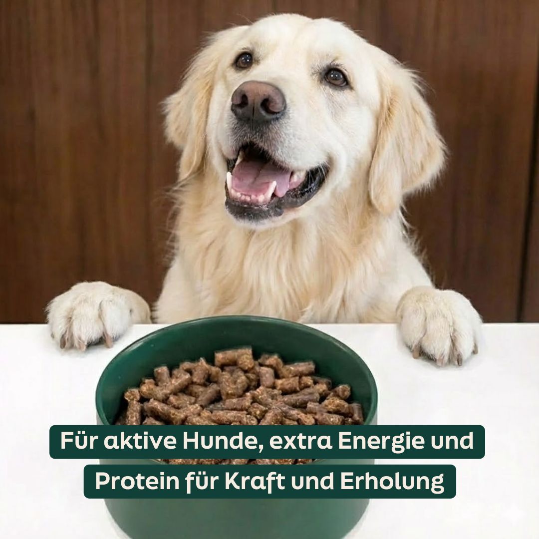 Hund mit WOOOF High Energy Brocken und einem USP