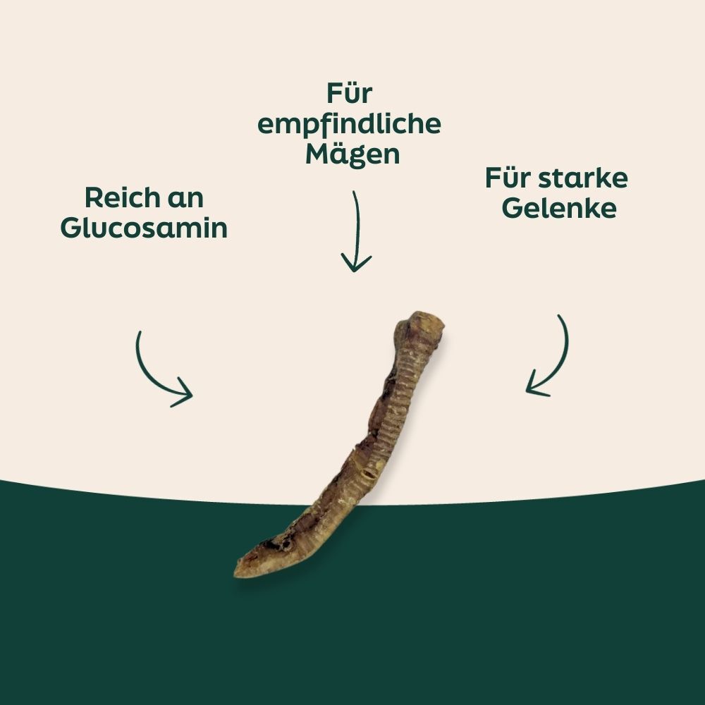 bone, dried bone, sinew, ancillary supplement, bone fragment
