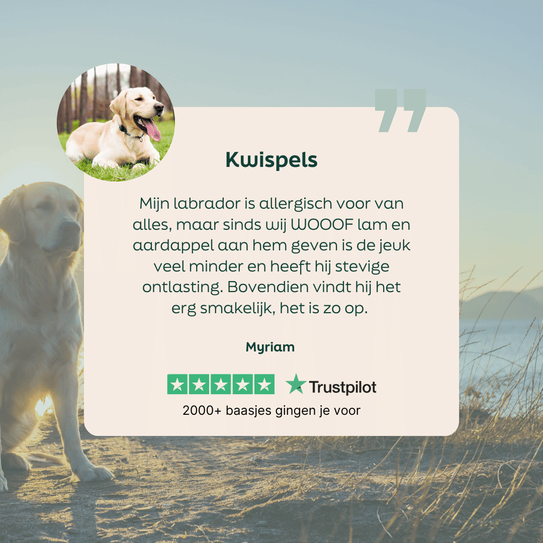 5 sterren review over WOOOF lam & aardappel
