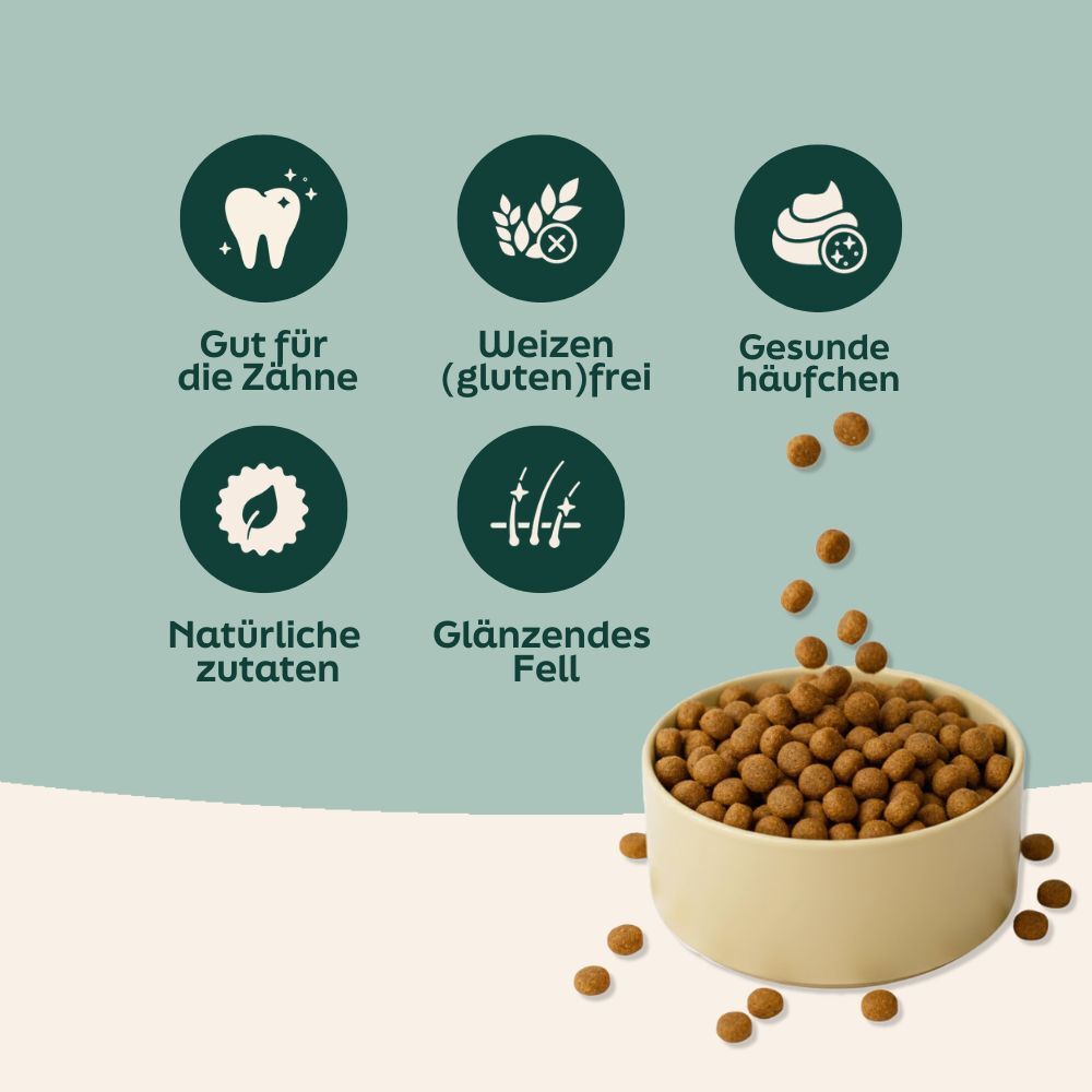 dog kibble, grain-free, natural ingredients, glossy coating, intestinal-friendly