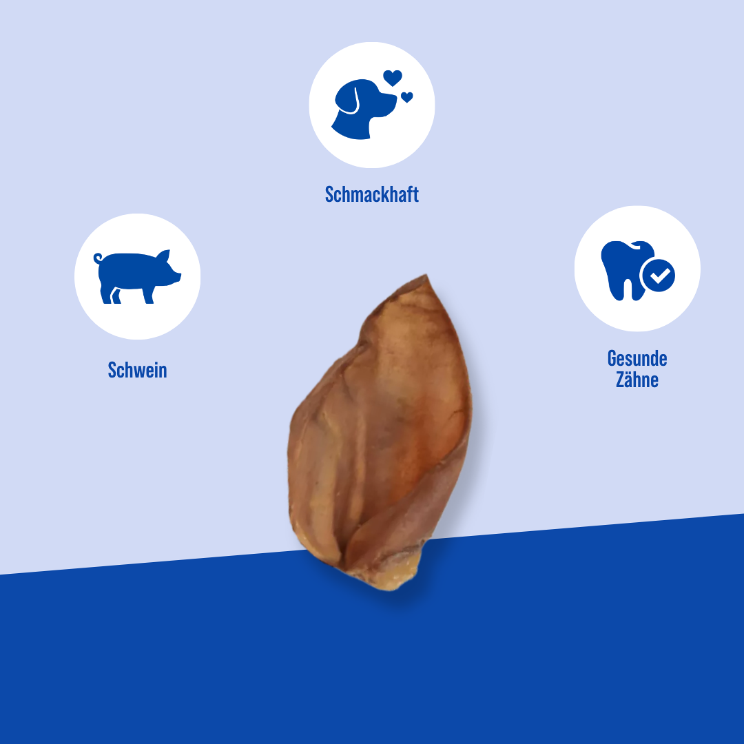 Getrocknete Schweineohren Die Vorteile der Hayes Brothers Snack-Schweineohren
