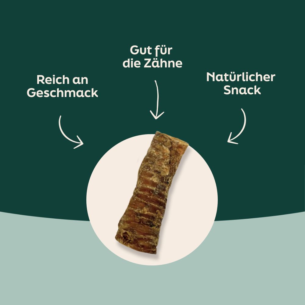 Vorteile von Rinderluftröhre