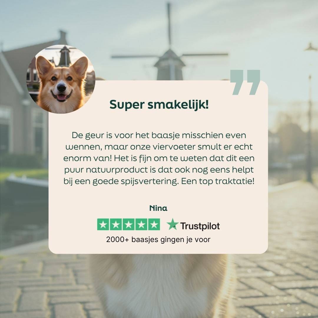 hond, huisdierproduct, hondentraktatie, trustpilot, getuigenis