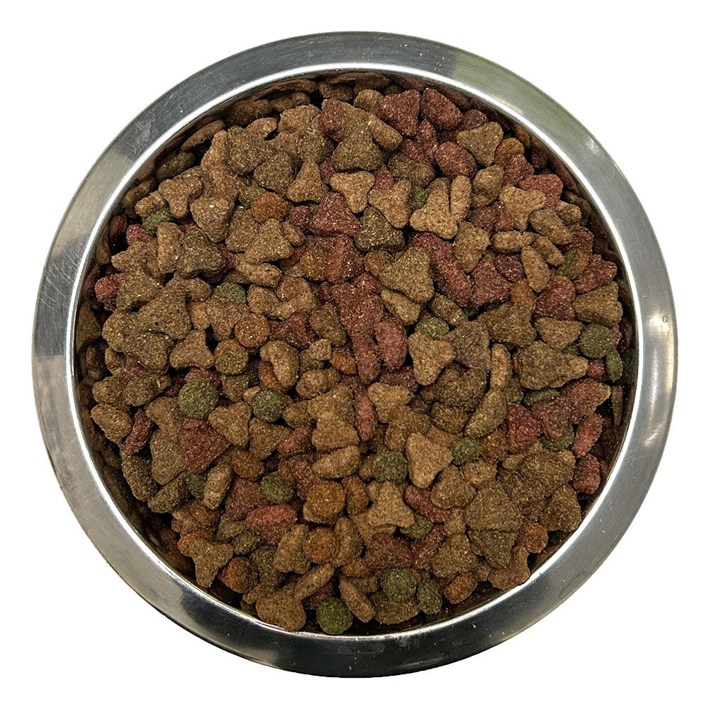 Katze Adult | 5kg