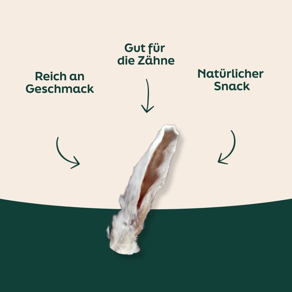 rawhide, bone, chew, treat, snack