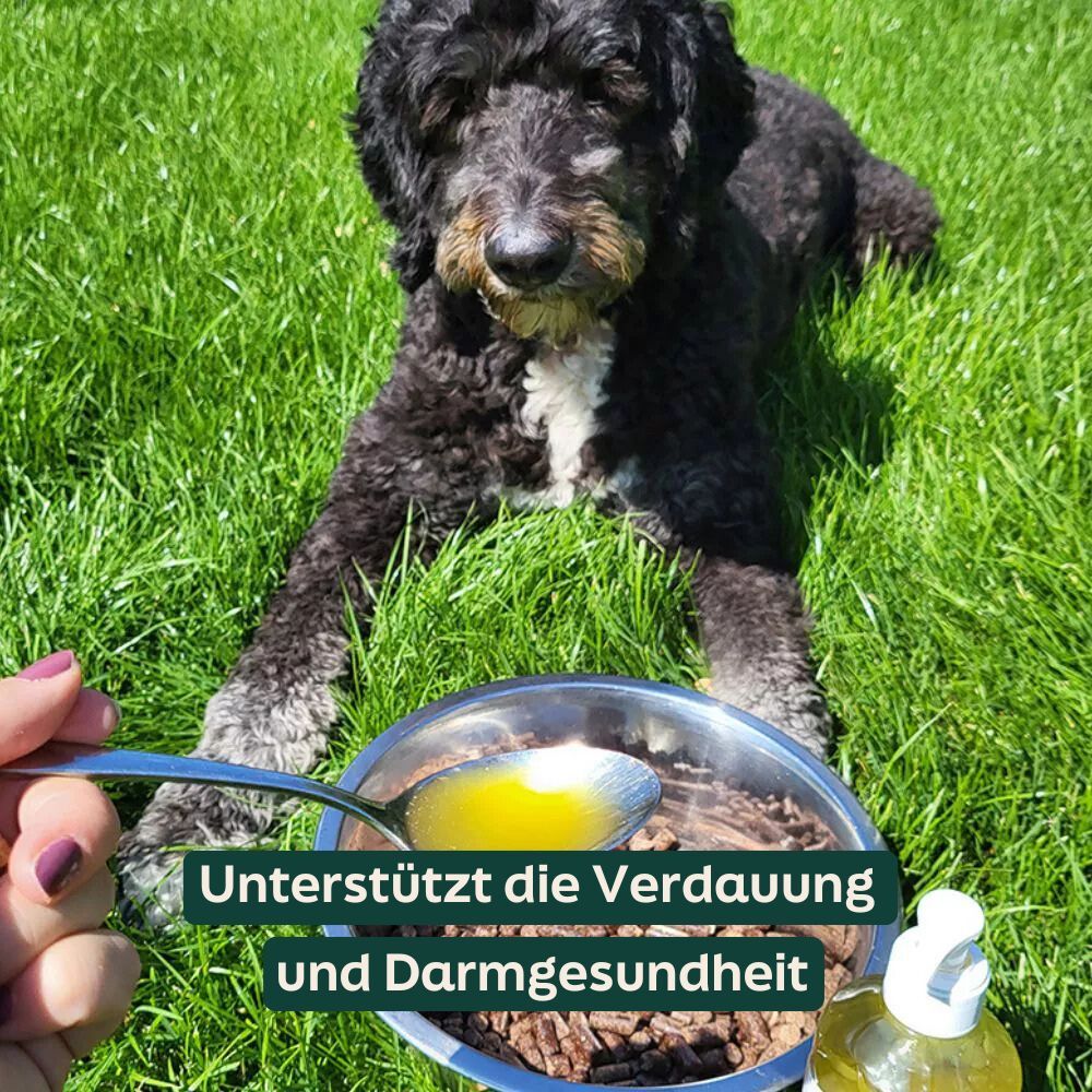 Ein Löffel Schaffettöl über das WOOOF Trockenfutter