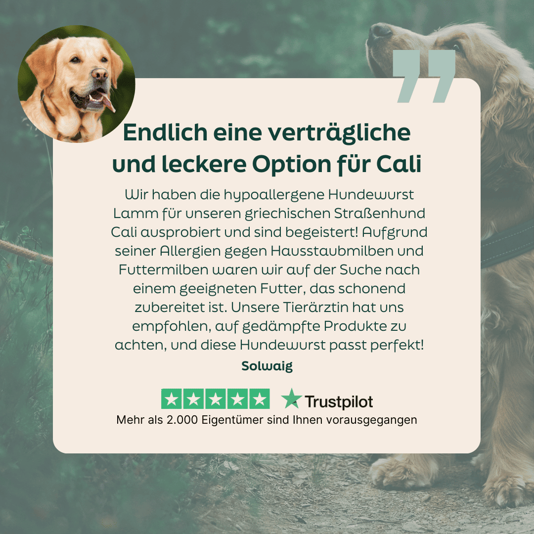 5-Sterne-Bewertung zu Lamm Wurst