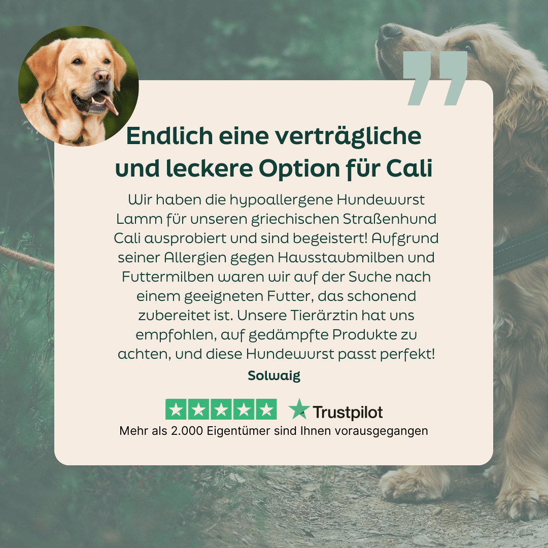 WOOOF Lammwurst Frisch 5-Sterne-Bewertung zu Lamm Wurst