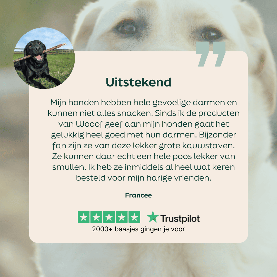 5 sterren review over WOOOF chicken twisters