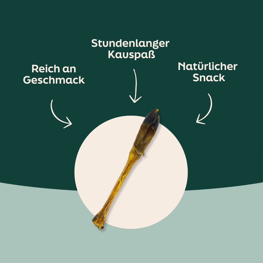 WOOOF Hirschkeule Vorteile von hertenpoot