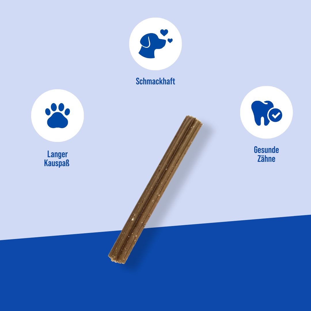 Grosse dental sticks Die Vorteile der Hayes Brothers Snack Dental sticks
