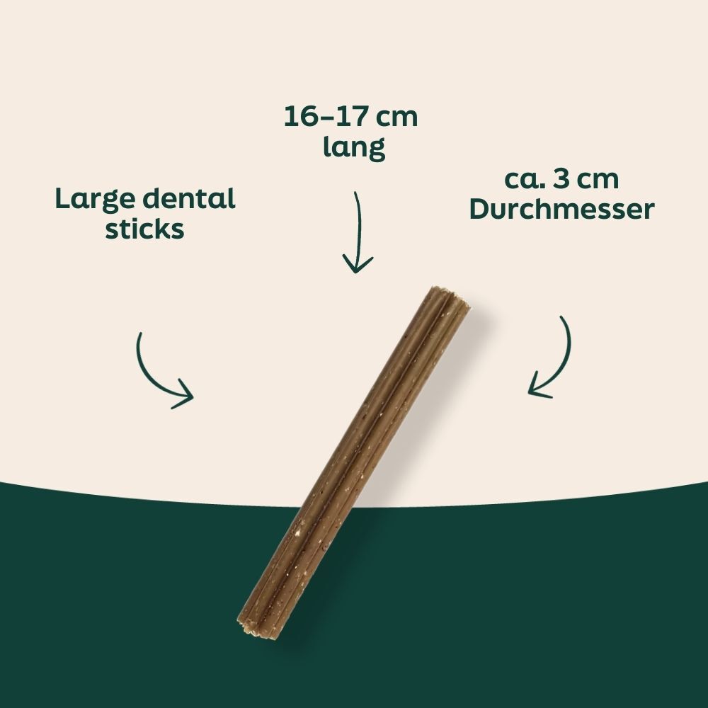 dental sticks, brown sticks, long sticks, 3 cm width, single flavor