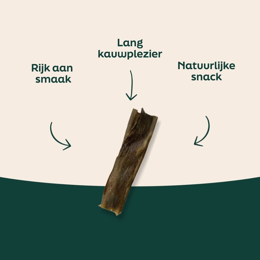 rauwhuid, bot, stok,  snack, honden traktatie