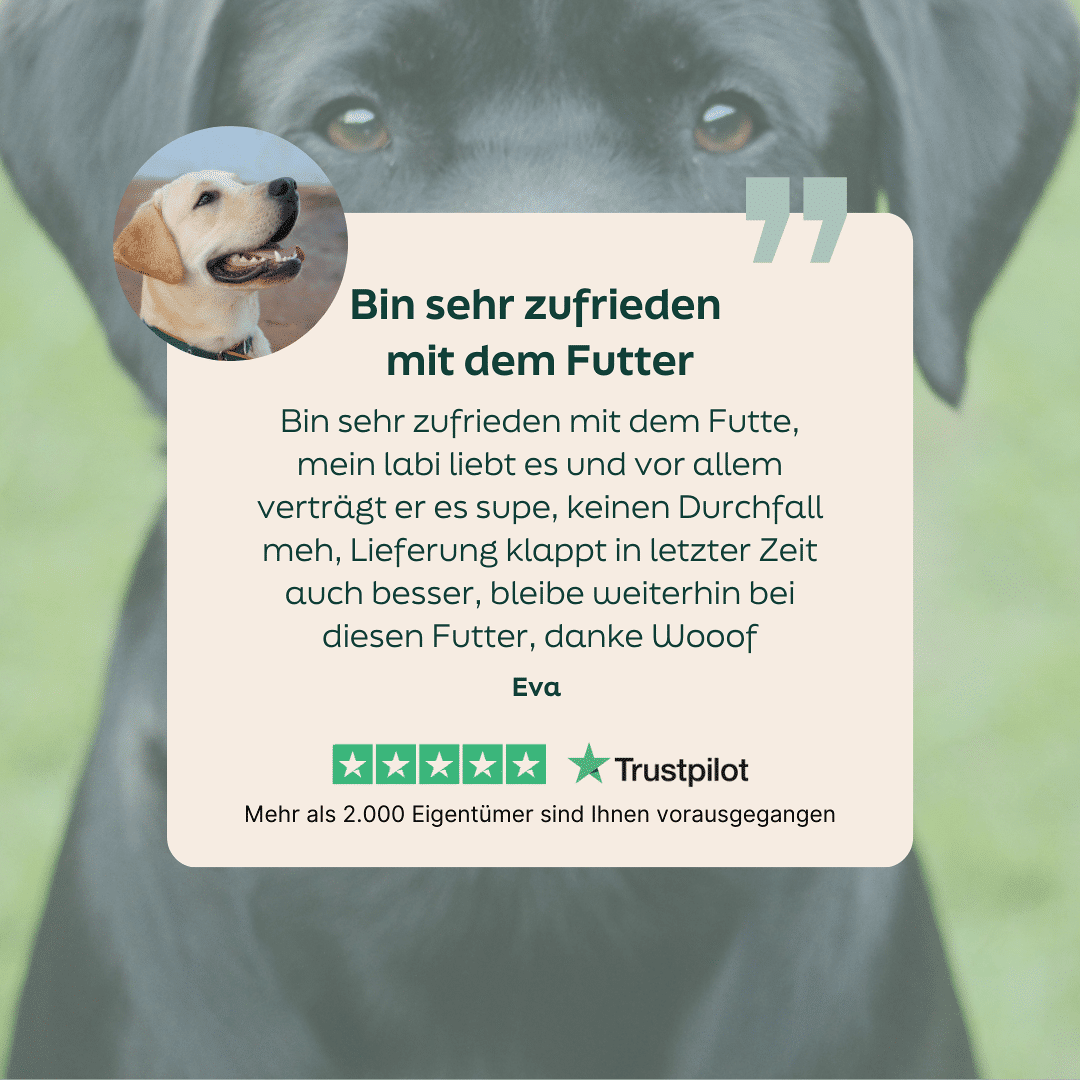 WOOOF Hundefutter mit Lachs 5-Sterne-Bewertung zu WOOOF Lachs