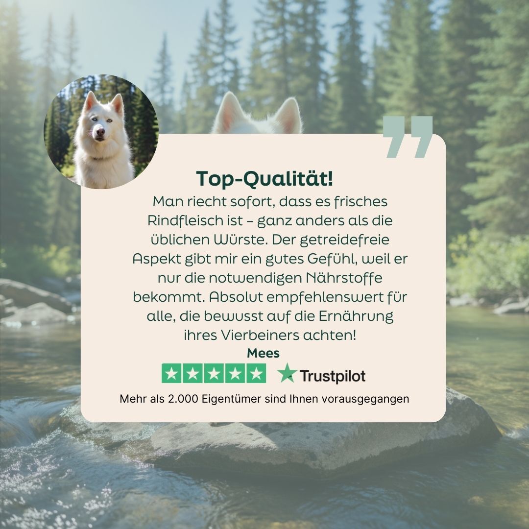 dog, husky, profile, circular photo, quote card