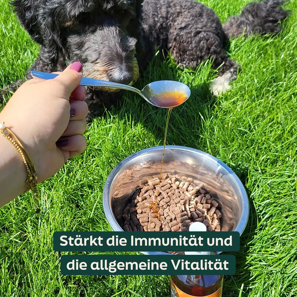 WOOOF Schafsfett & Lachsöl Ein Löffel Lachsöl über das WOOOF Trockenfutter