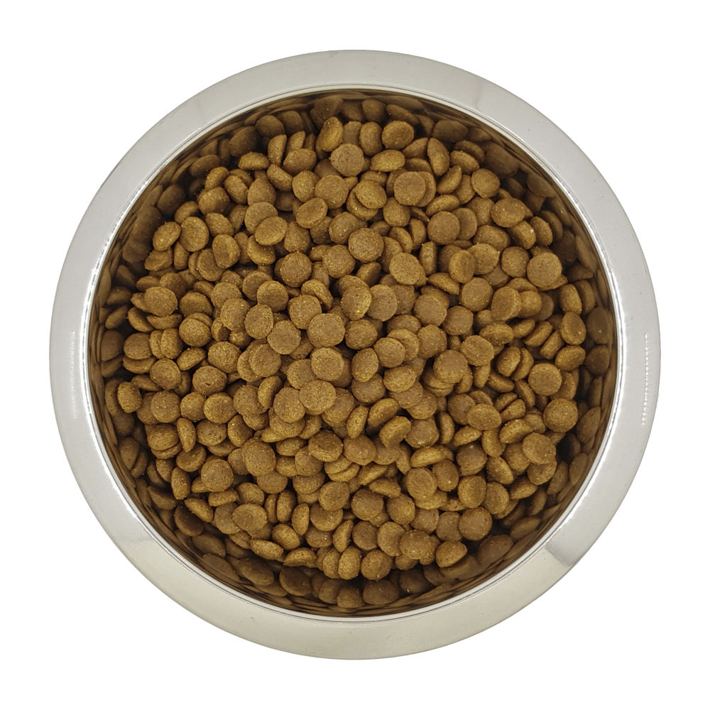 Welpen | 14KG