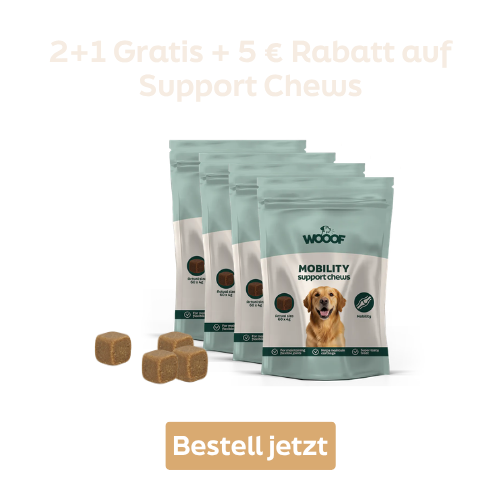 dog treats, chews, treats, sample packs, brown cubes