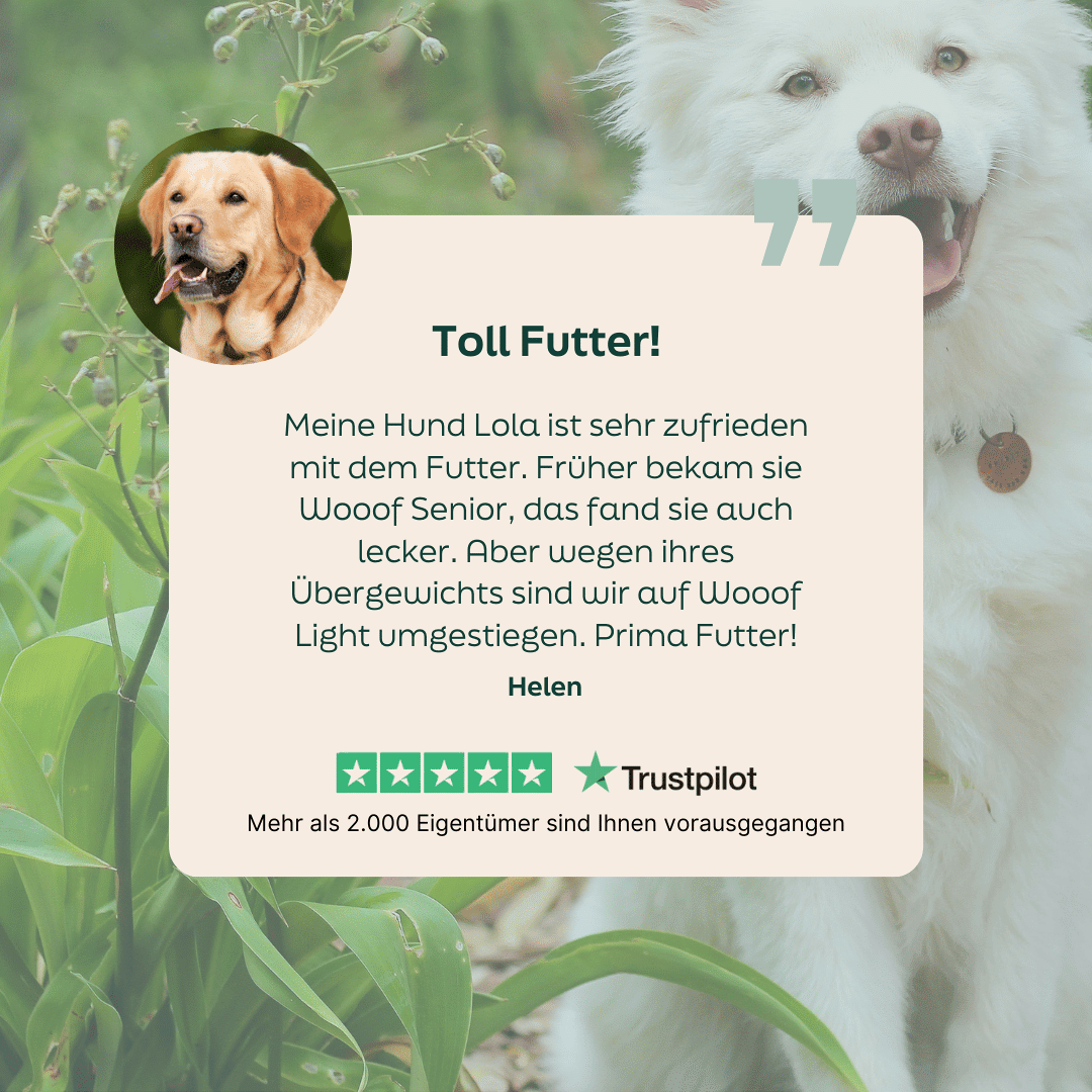 WOOOF Light Hundefutter 5-Sterne-Bewertung zu WOOOF Light