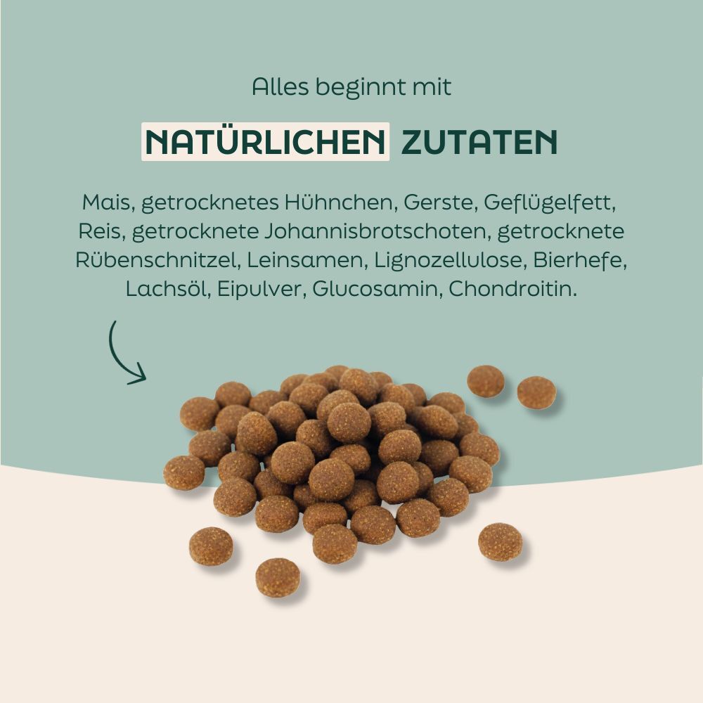 cat pellets, dog food, kibble, brown pellets, dry pet food