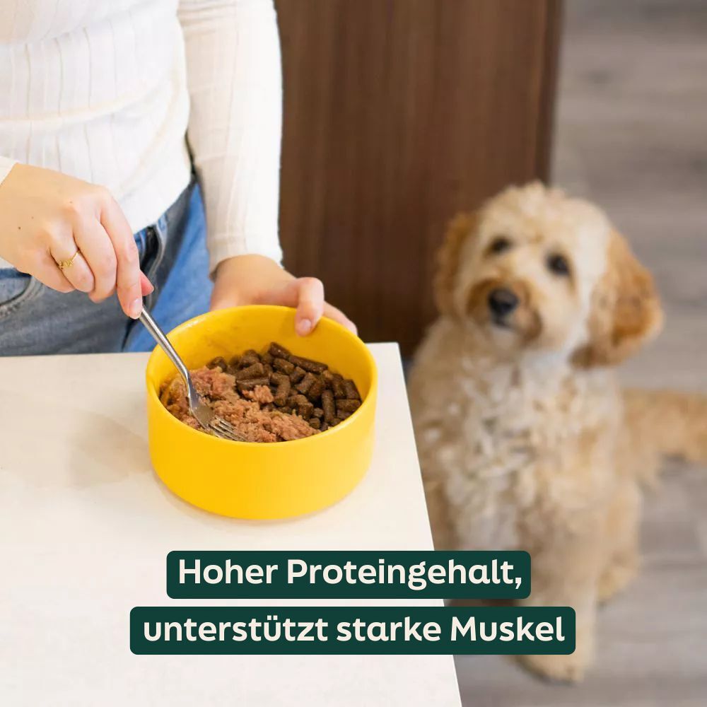WOOOF Rind- & Hühnerwurst Frisch Würste mit geringem Fettgehalt für ein gesundes Gewicht