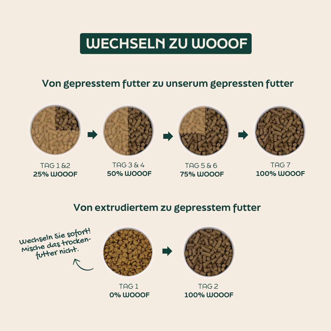 Wie wechselt man zu Welpen-Hundefutter?