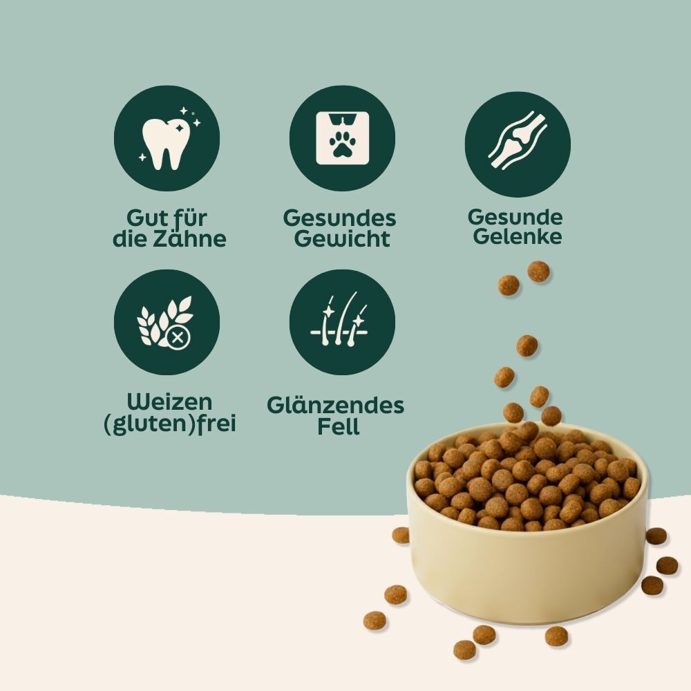 dog food, dry kibble, kibble, pet nutrition, bowl of pellets