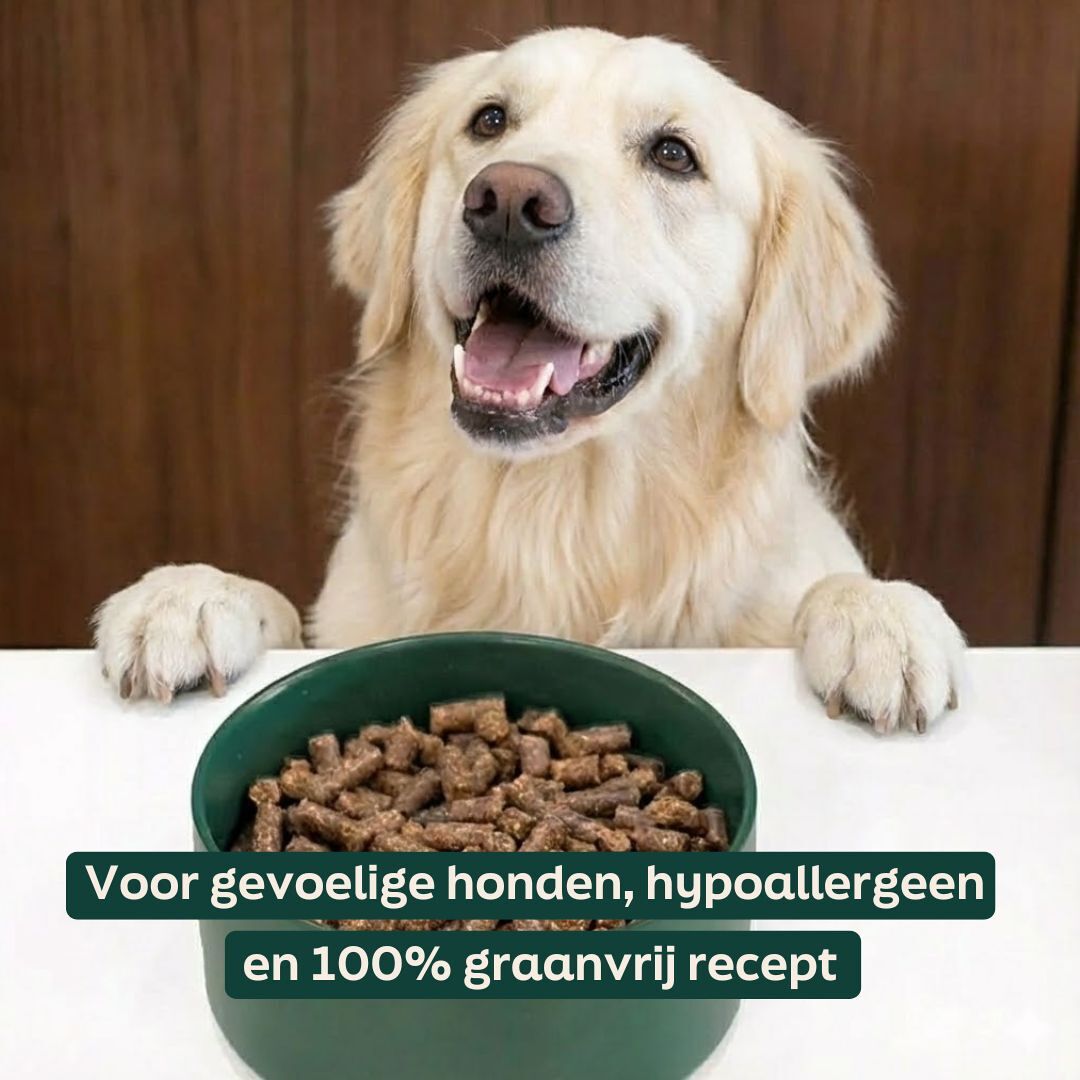 Graanvrij hondenvoer: goed of niet Graanvrij hondenvoer: goed of niet