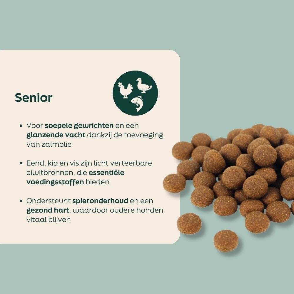 hondenvoer, kibble, broodjes, bruine bolletjes, huisdier eten