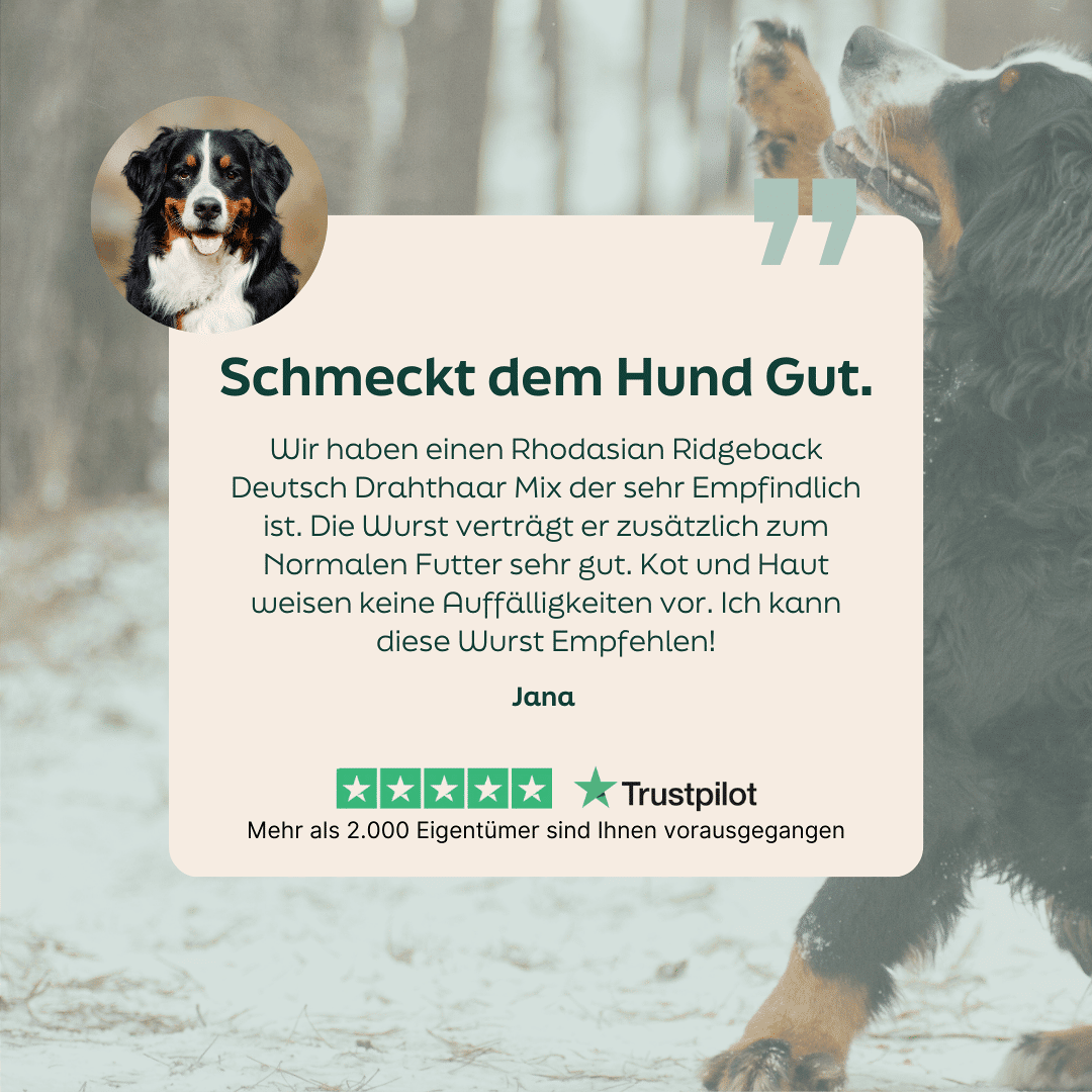 WOOOF Entenwurst frisch 5-Sterne-Bewertung zu Ente wurst
