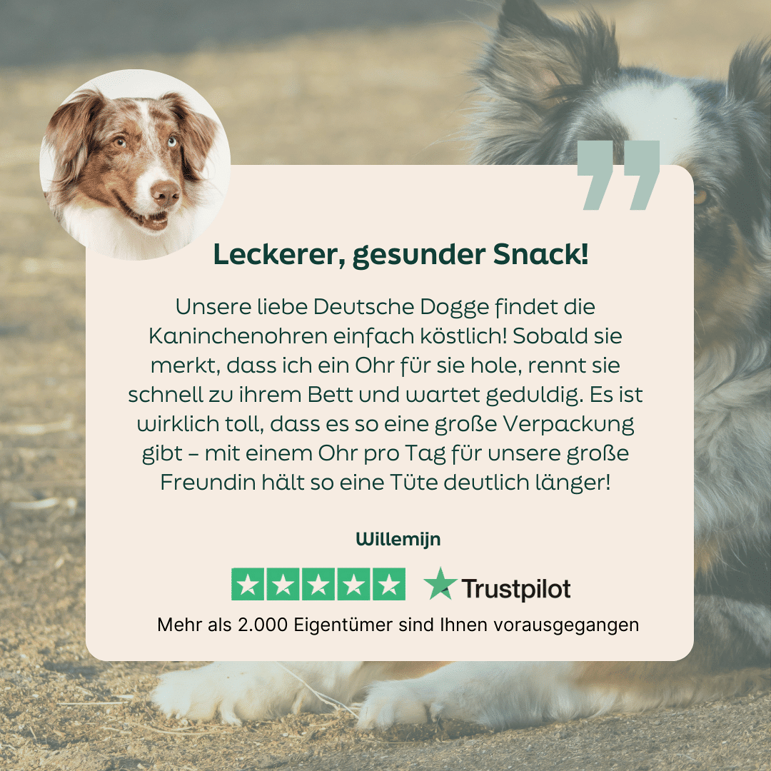 WOOOF Kaninchenohren mit Fell 5-Sterne-Bewertung zu WOOOF Kaninchenohren
