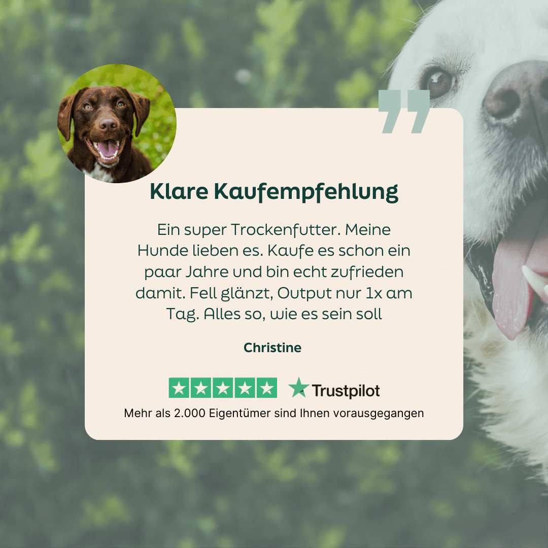 WOOOF Ente Hundefutter 5-Sterne-Bewertung zu WOOOF Ente