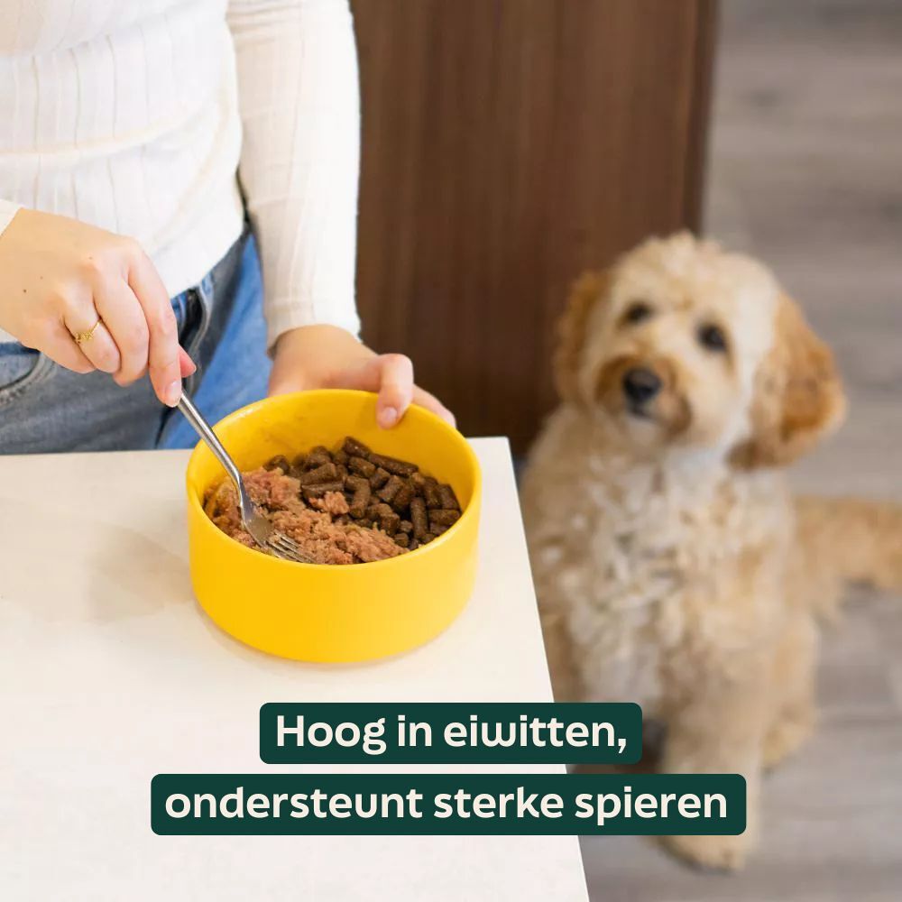 WOOOF Rund & Kip Worst Vers Worsten laag in vet voor gezond gewicht