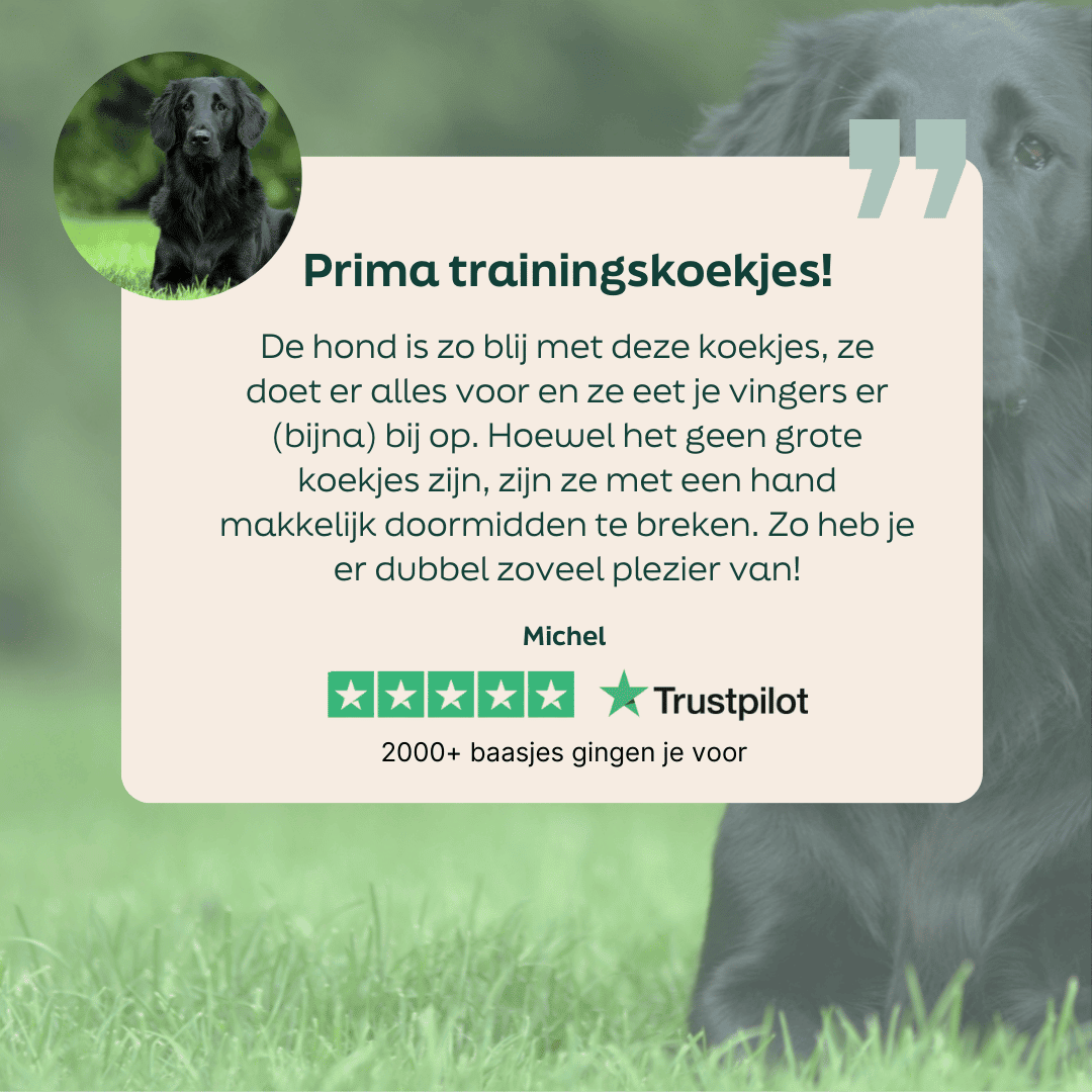 5 sterren review over WOOOF oven-baked koektrainers