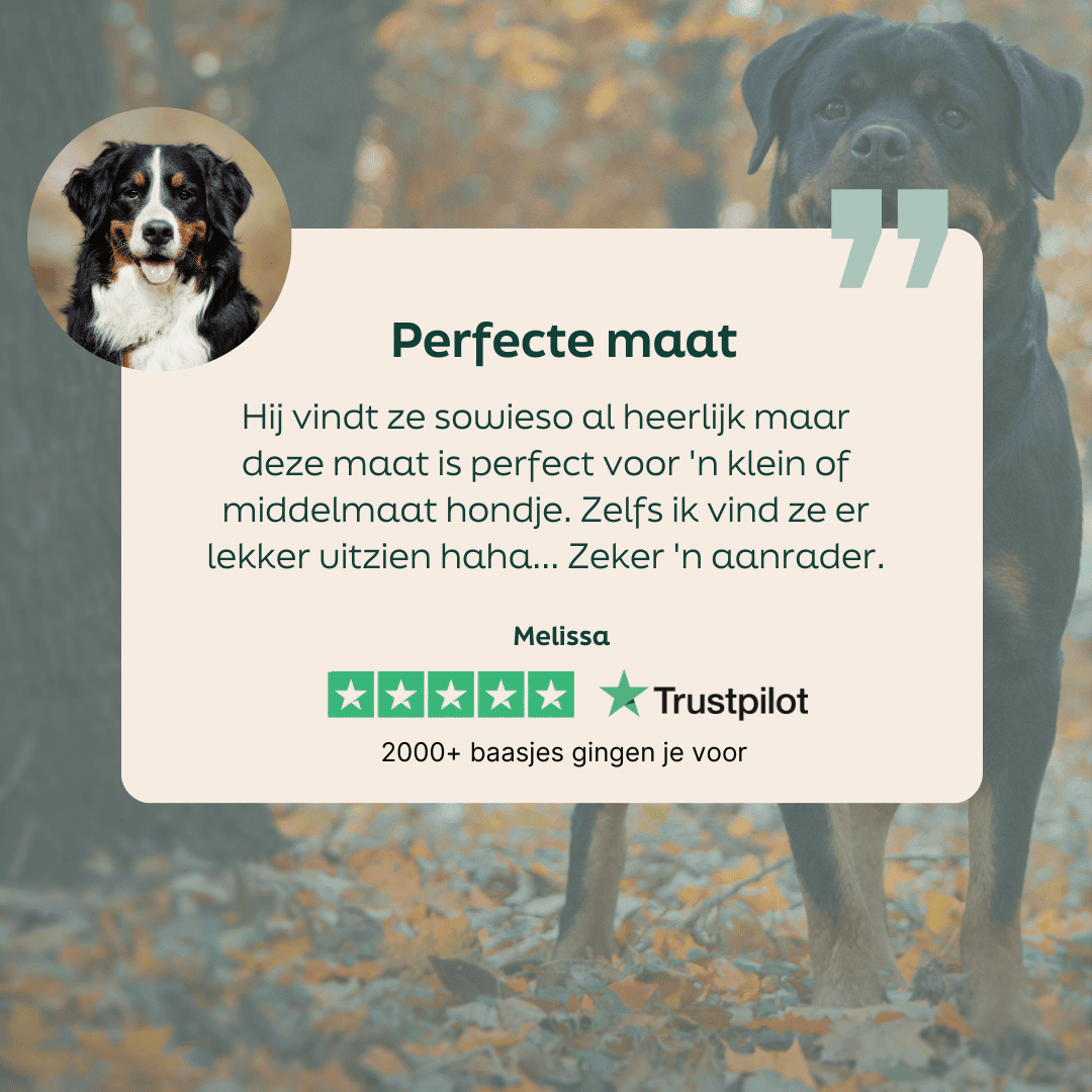 5 sterren review over WOOOF oven-baked small mergkoekjes